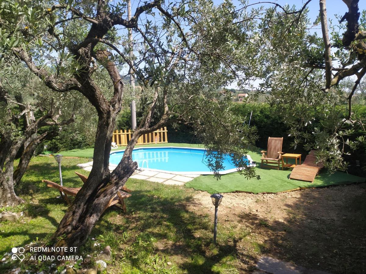 Il Borgo Dei Pini Apartment Винчи Екстериор снимка