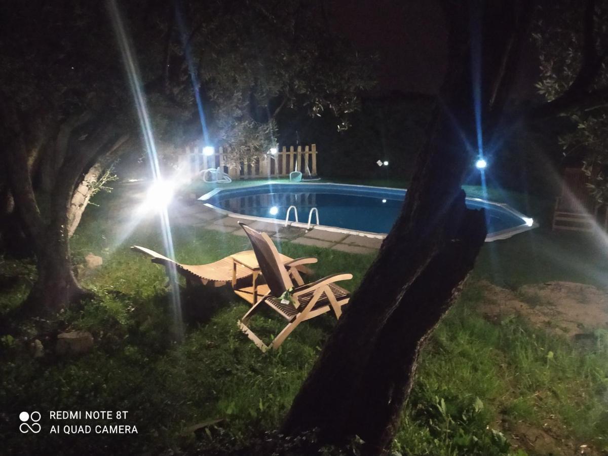 Il Borgo Dei Pini Apartment Винчи Екстериор снимка
