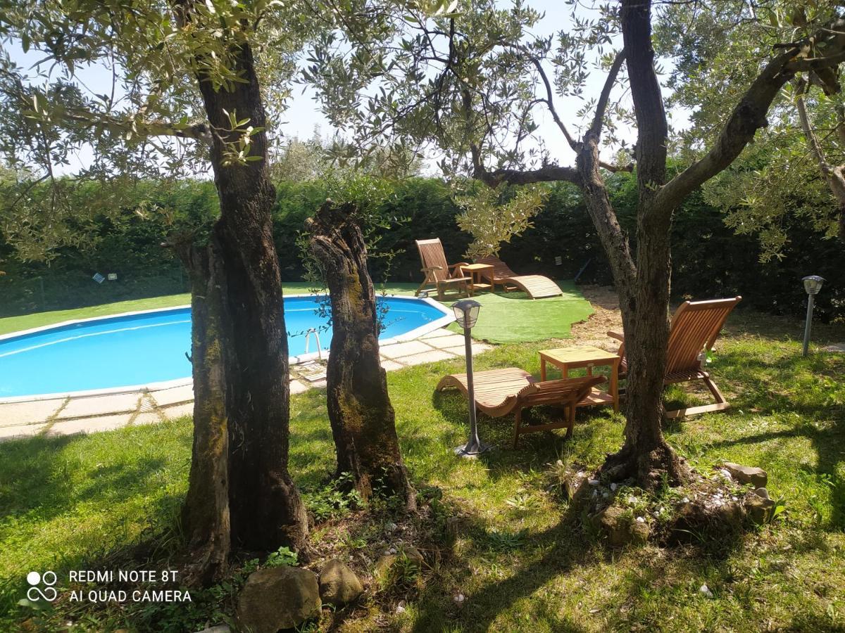 Il Borgo Dei Pini Apartment Винчи Екстериор снимка