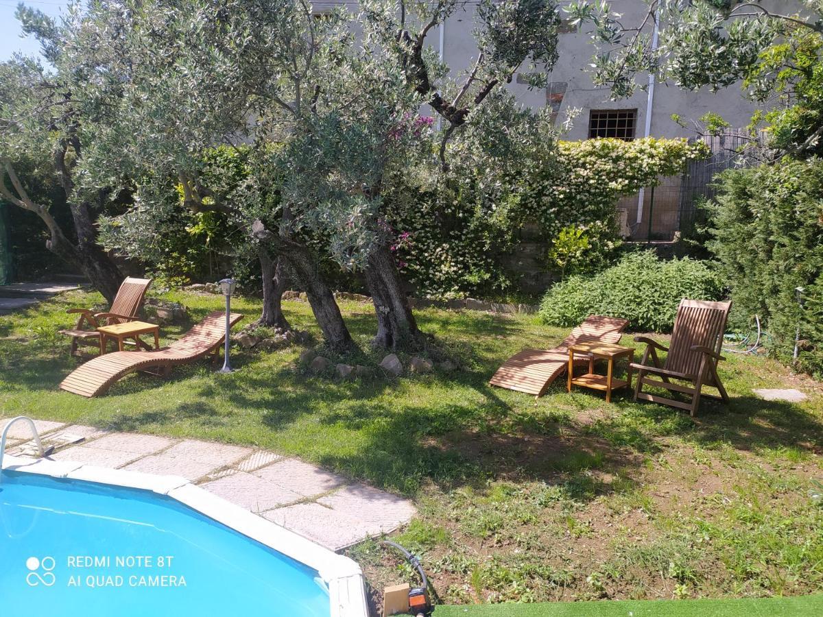 Il Borgo Dei Pini Apartment Винчи Екстериор снимка
