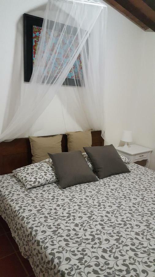 Il Borgo Dei Pini Apartment Винчи Екстериор снимка