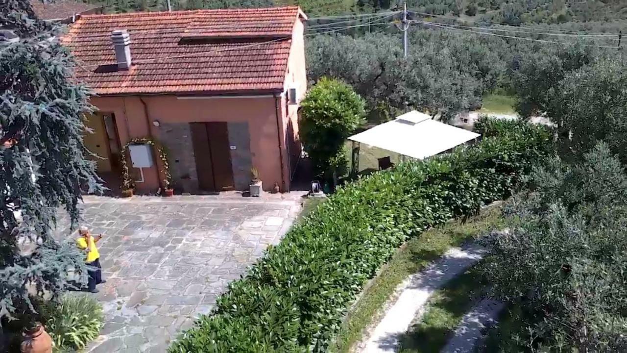 Il Borgo Dei Pini Apartment Винчи Екстериор снимка