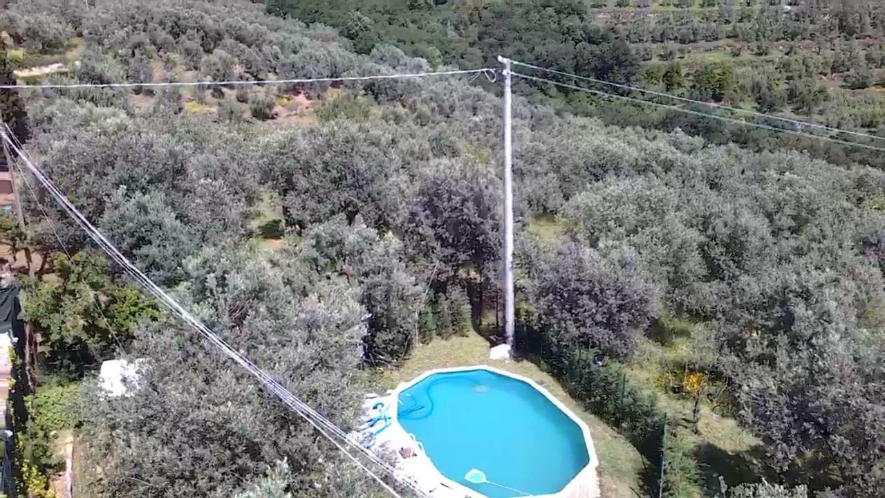 Il Borgo Dei Pini Apartment Винчи Екстериор снимка