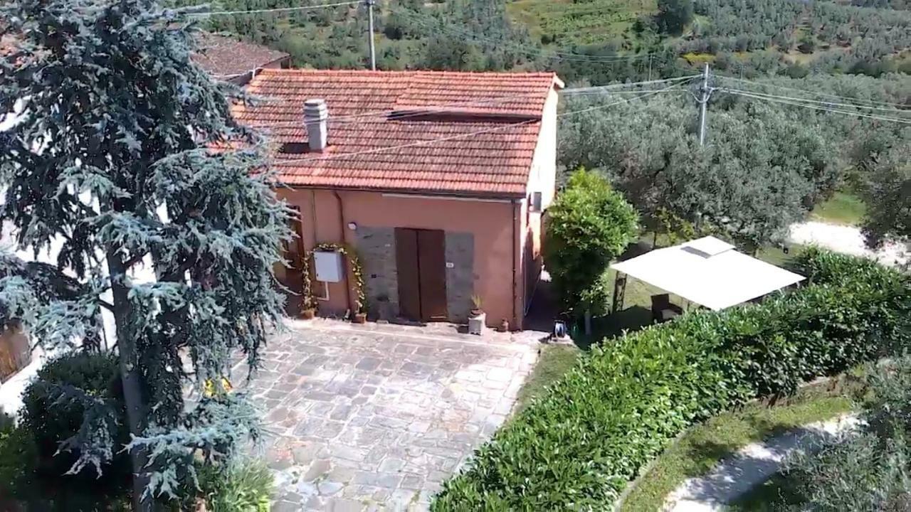 Il Borgo Dei Pini Apartment Винчи Екстериор снимка